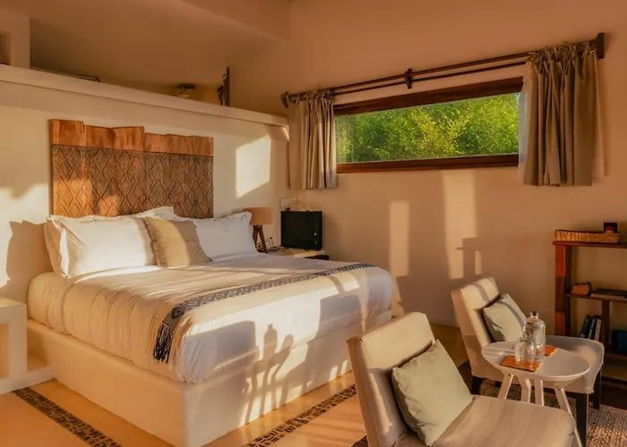 Zoa Hotel - Adults Only